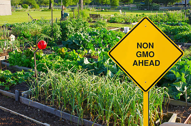 alimento geneticamente modificado sinal de estrada em frente do jardim orgânicos - insecticide organic sign vegetable garden imagens e fotografias de stock