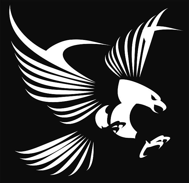 Eagle, Hawk, Falcon. - ilustração de arte em vetor