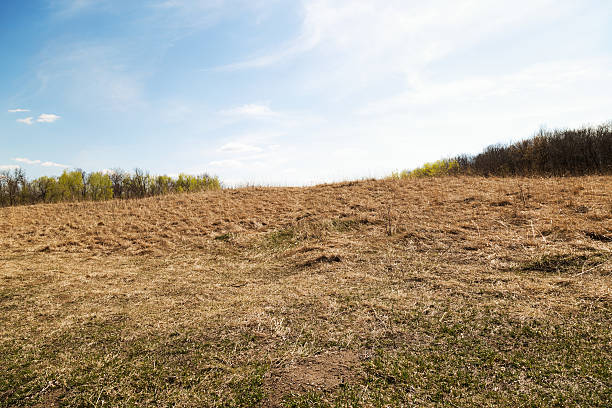 Spring scene from a northern Minnesota Wildlife Refuge.  Hill with dry grasses.