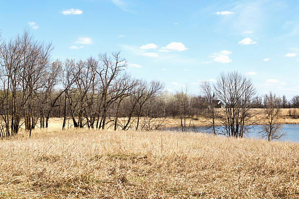 Spring scene from a northern Minnesota Wildlife Refuge. Lake and church in the background.