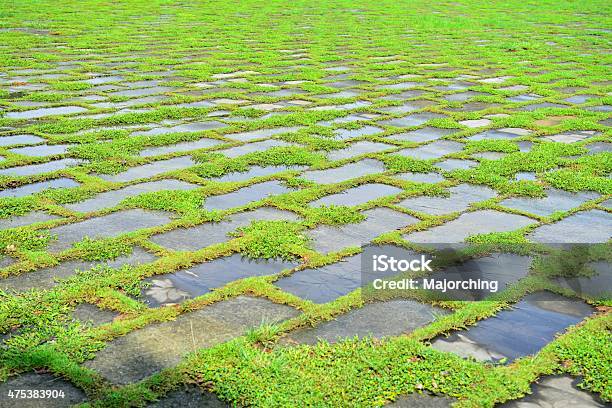 Slate And Green Weeds To Form Texture On Ground Stock Photo - Download Image Now - 2015, Abstract, Backgrounds