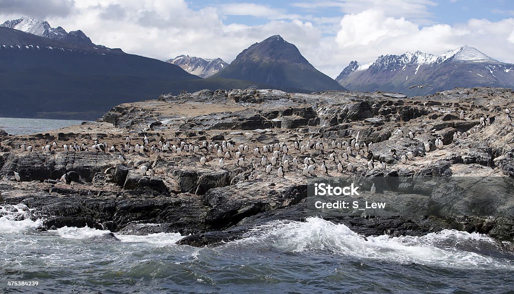 Ushuaia paesaggio-cormorani in grande Formazione rocciosa - Foto stock royalty-free di Fuoco