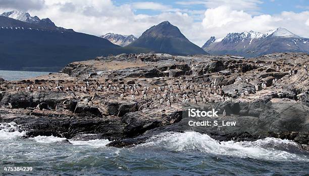 Ushuaia Paesaggiocormorani In Grande Formazione Rocciosa - Fotografie stock e altre immagini di Fuoco