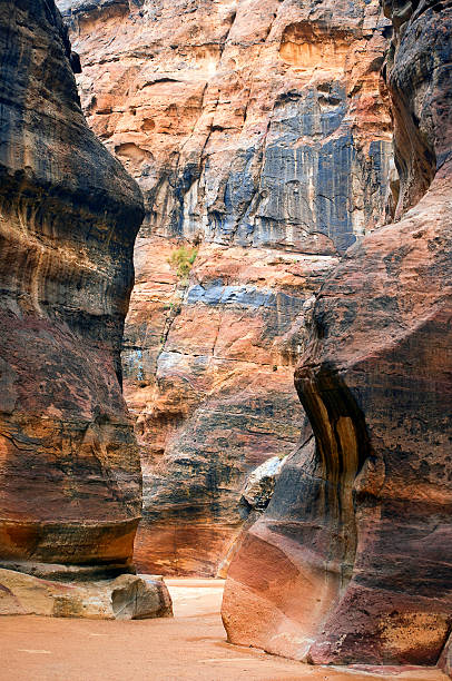 istock colorful rock formations of Petra in Jordan 475385381