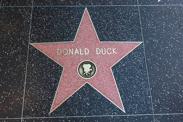 ハリウッドウォークオブフェイムの星、ドナルド・ダック - ドナルド ダック ストックフォトと画像