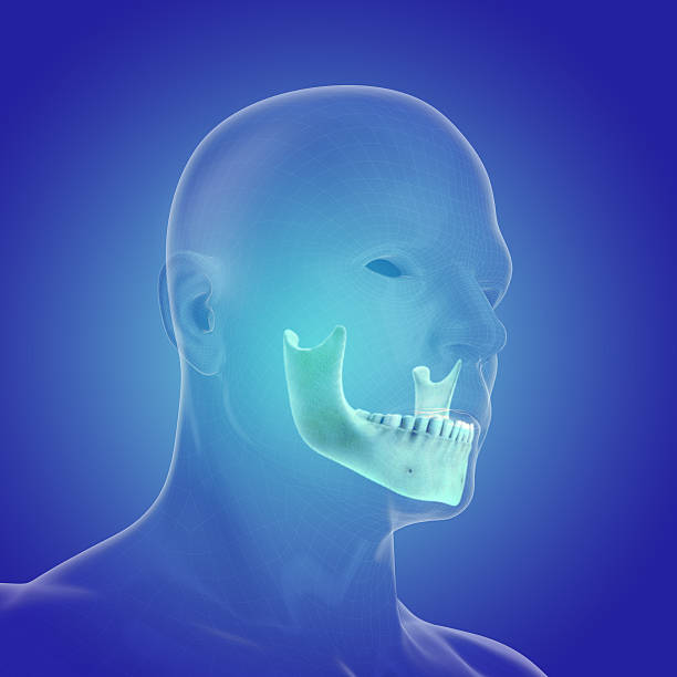 istock The human body (organs) by X-rays on blue background 475387574