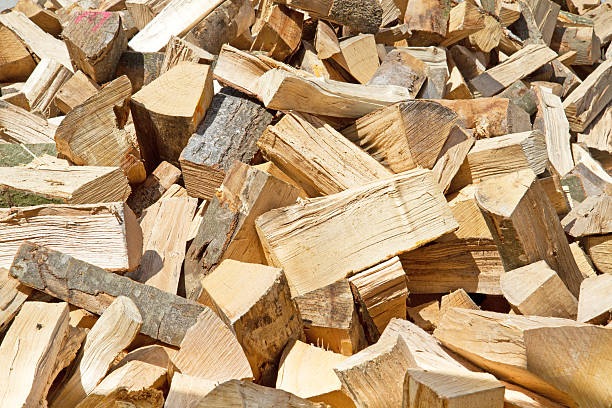 istock Fresh firewood ready to be stored away 475389107