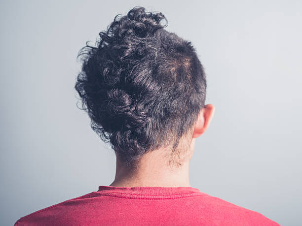 126,203 Funny Hair Style Stock Photos, Pictures & Royalty-Free Images -  iStock | Mullet