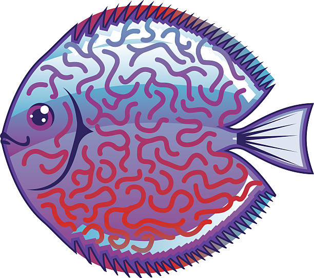 Rzut dyskiem Akwarium ryby WEKTOR – artystyczna grafika wektorowa