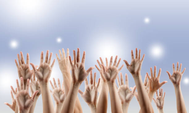 istock Many people's hands up isolated on white background. Various han 475395056