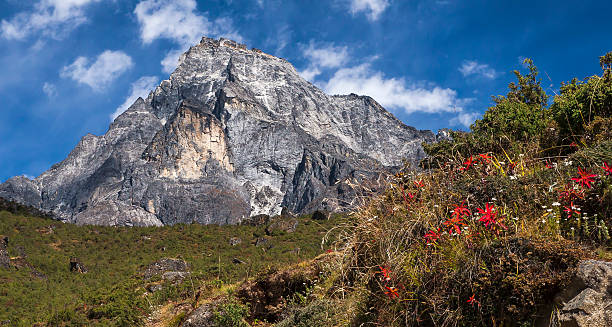 himalaya - povo maew imagens e fotografias de stock