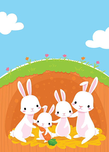 illustrazioni stock, clip art, cartoni animati e icone di tendenza di famiglia di conigli - baby carrot illustrations