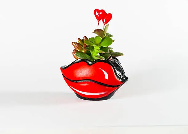 Flower in a pot mouth and hearts