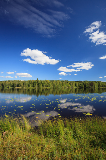 Sunny calm lake landscape from finland