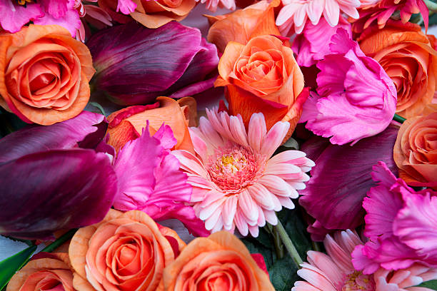 incrível mistura de rosas e gerberas e túlipas - bouquet tulip greeting card gerbera daisy imagens e fotografias de stock