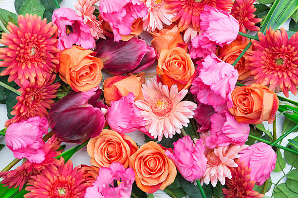 incrível mistura de rosas e gerberas e túlipas - bouquet tulip greeting card gerbera daisy imagens e fotografias de stock