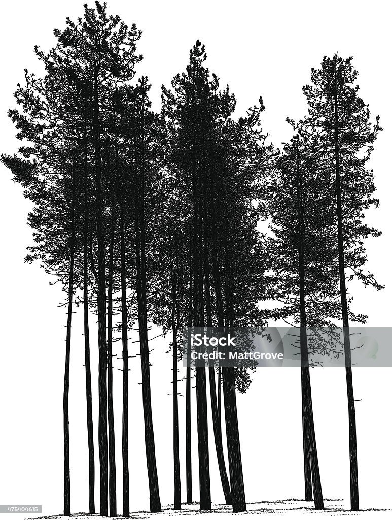 Pines Pine vector illustration. Additional EPS file contains the same image with lines in stroke form, allowing you to convert to a brush of your choosing. Colors are layered and grouped separately. Easily editable. Pine Tree stock vector