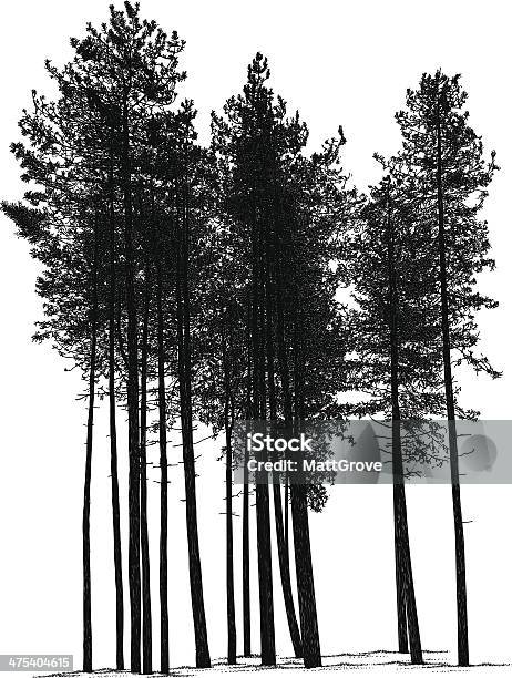 Pines Stock Illustration - Download Image Now - Pine Tree, Forest, Tree