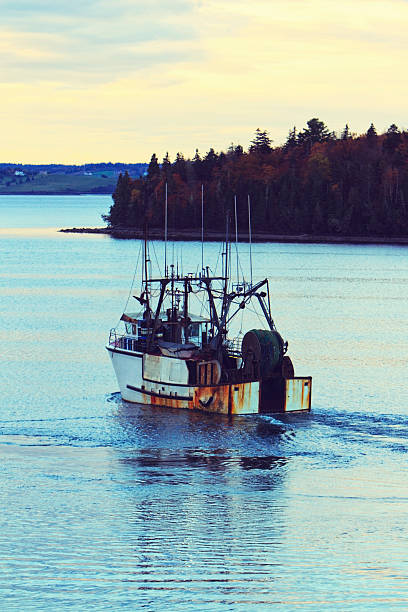 istock Fishing Trawler Heading Out To Work At Dawn 475407643