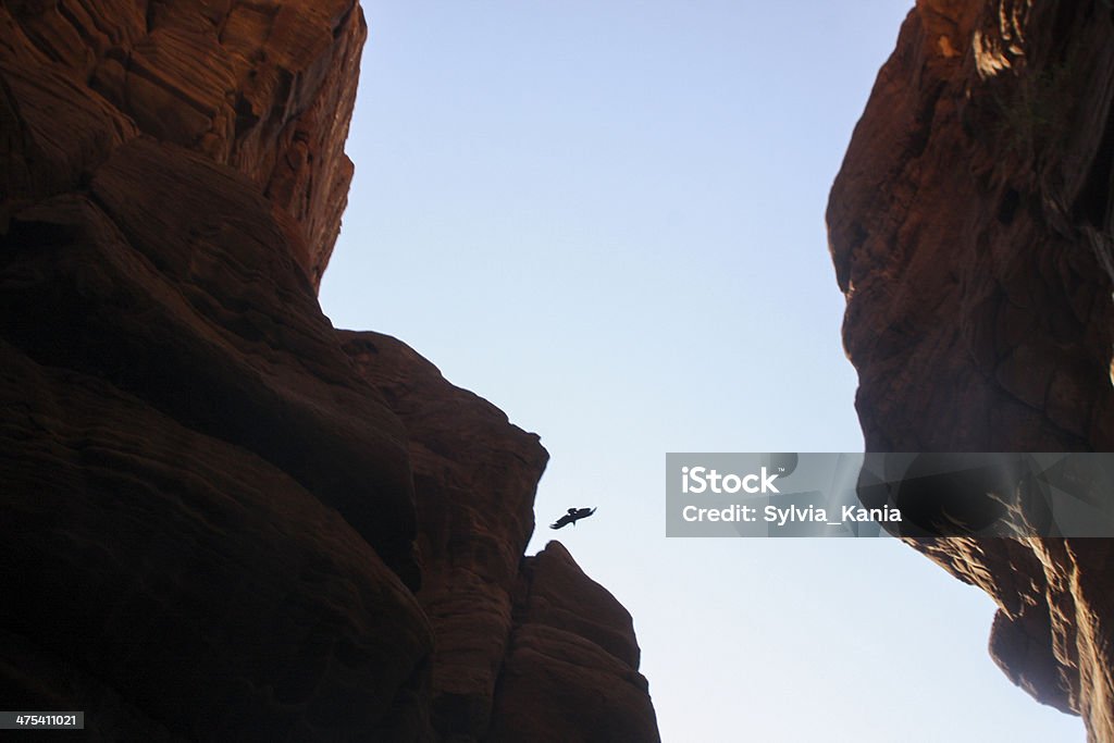 Wadi al mujib Nature Reserve, le Grand Canyon de Jordanie - Photo de Wadi Mujib libre de droits
