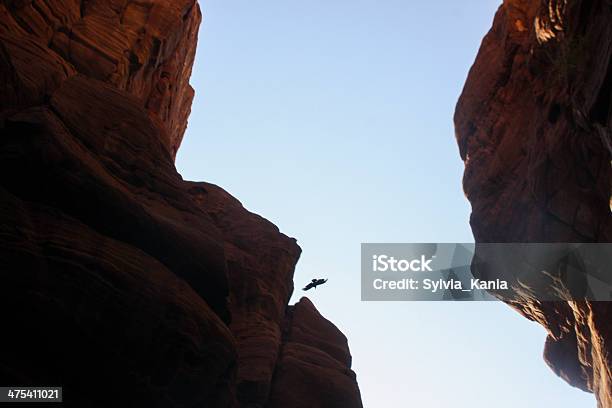 Photo libre de droit de Wadi Al Mujib Nature Reserve Le Grand Canyon De Jordanie banque d'images et plus d'images libres de droit de Wadi Mujib