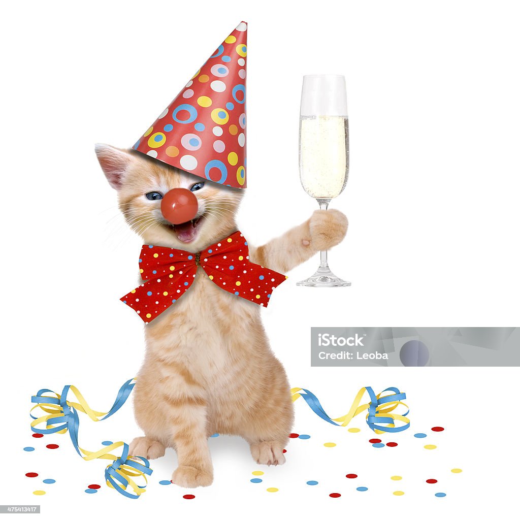 Cat Carnival / Party Cat Carnival / Party on white background Domestic Cat Stock Photo