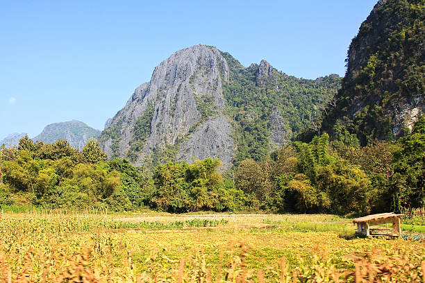 istock Mountain View in Vang Vieng, Laos 475414279