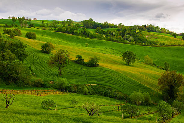 istock Marche Countryside Landscape in Early Spring 475417136
