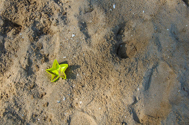 Toy starfish in the beach sand