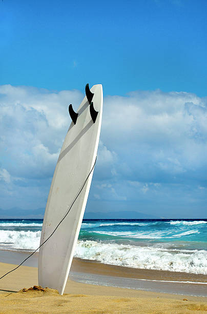 istock Surfboards awaiting fun in the sun 475424371