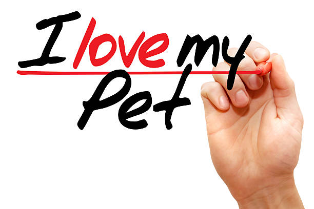 istock I love my Pet 475426374