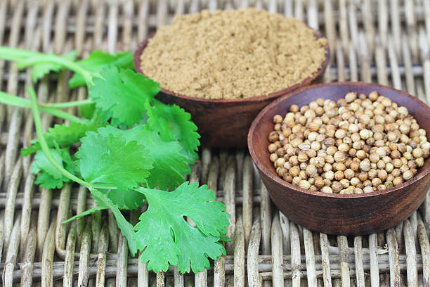 istock Coriander seeds, powder and leaves on wicker surface 475428123