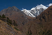 himalayan.jpg?b=1&s=170x170&k=20&c=fE4ajHB4QjYcrbWdeophzfaKnL5S3yFpjGlcJoI8ERw=