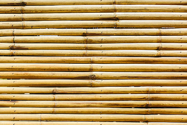 bambus ogrodzenie - rock garden zdjęcia i obrazy z banku zdjęć