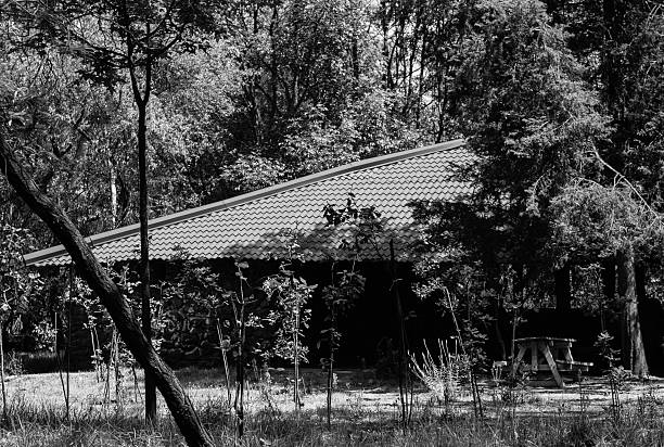 istock cottage in the woods 475432272