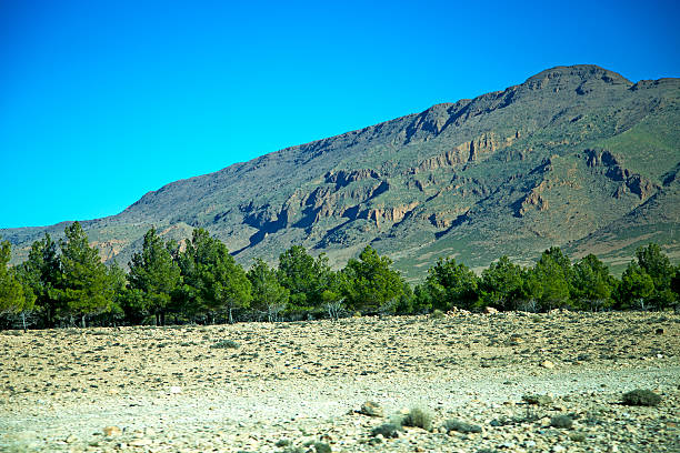 istock valley in   africa morocco tree  hill 475432542