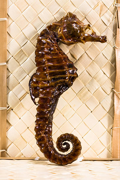real brown faszerowany sea horse - crustace zdjęcia i obrazy z banku zdjęć