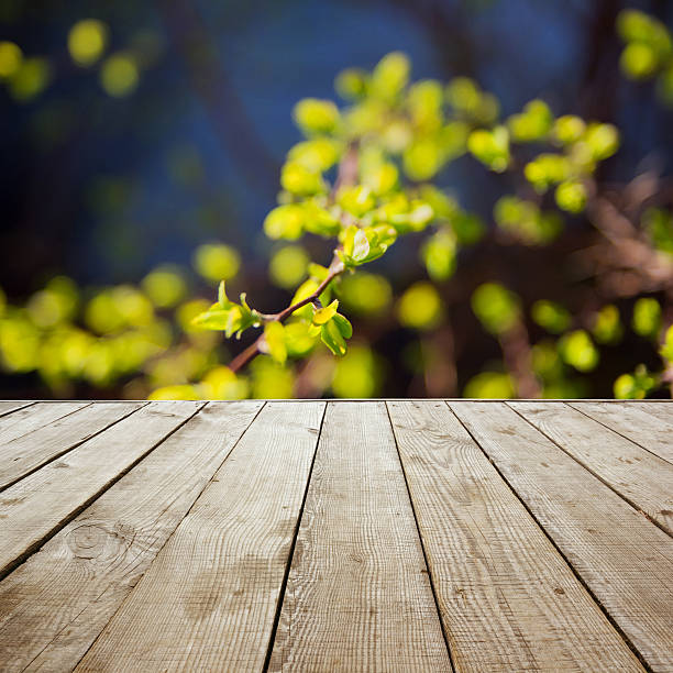 istock Wooden perspective floor with planks on blurred background 475435362