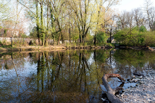Monza Park (Lombardy, Italy): the Lambro river at spring