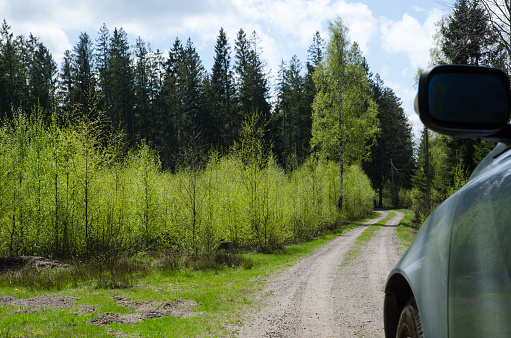 Car driving at a gravel road in the woods at spring with fresh green colors