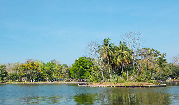 istock Lake in the summer park 475438525