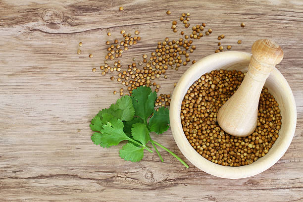 コリアンダーの種をすり鉢と新鮮な葉、コピースペース付き - mortar and pestle spice seasoning coriander seed ストックフォトと画像