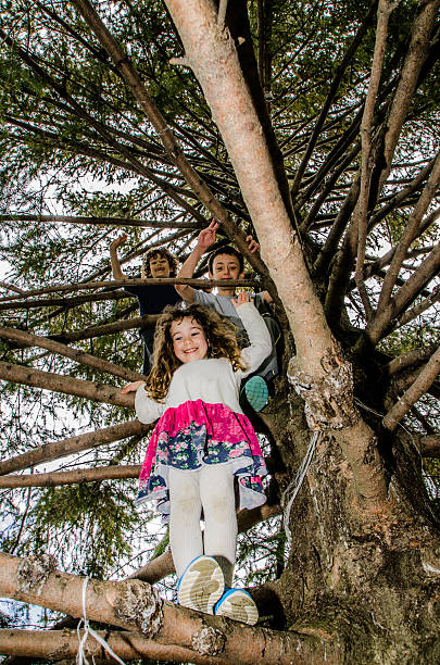 istock 3 children in a fir tree 475439050
