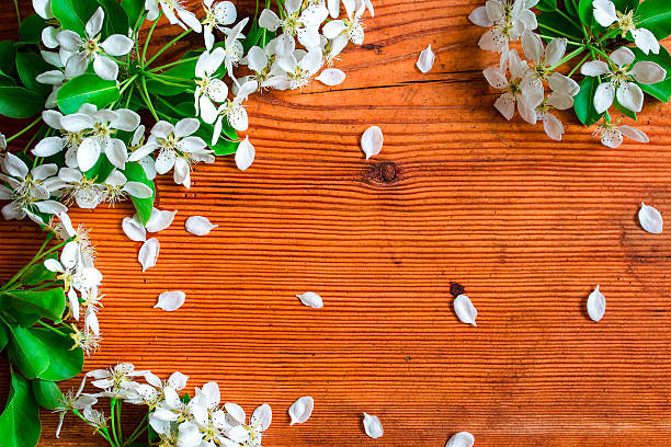 istock Wood background with spring flowers 475439674