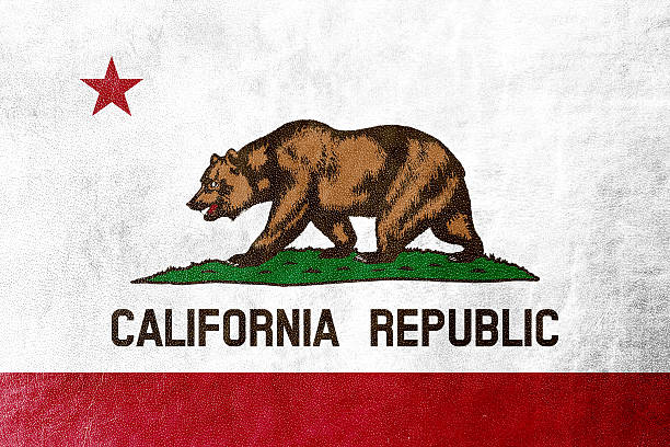 Bandeira do Estado da Califórnia-empertigada na textura de couro - fotografia de stock