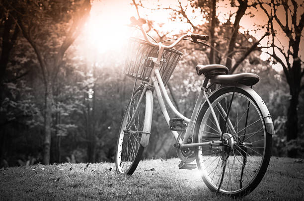 istock Classic Bicycle at sunset in the park or deep forest 475440428