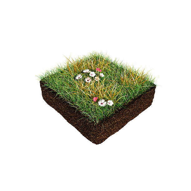istock piece of soil 475445354