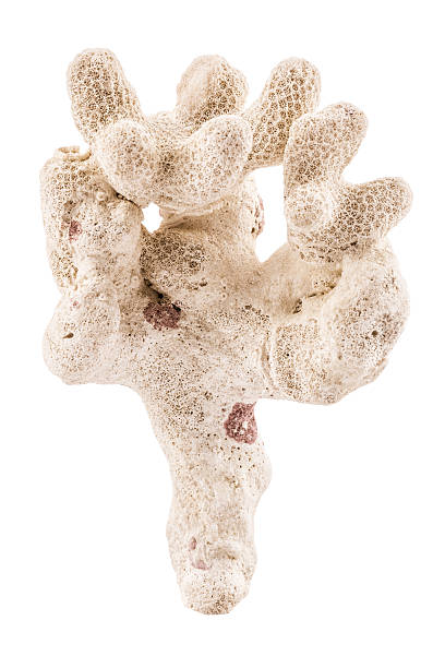 These sculptures were modeled in clay by hand especially for McKinsey. The concept is to work with materials and elements of nature, prioritizing the proportion of the human hand. The ecological, natural, delicate and strong.