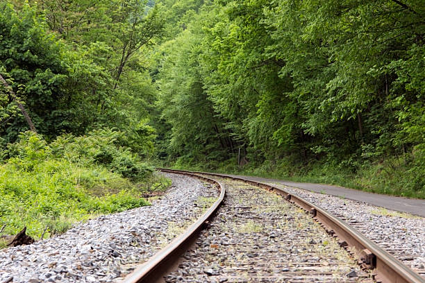 Railroad Track Curving into the Woods