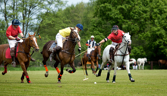 Putten, The Netherlands - May 25th 2015: Two opposing polo teams challenging for the ball at the Jason Dixon Polo tournament on Monday 25th May 2015 in Putten, the Netherlands.